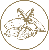 Almond Oil