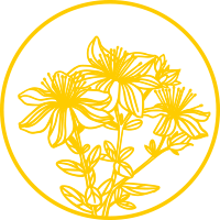 St. John’s Wort herb